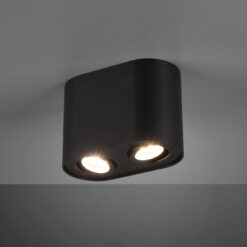 Φωτιστικό Οροφής Trio Lighting GU10 Μαύρο Ματ Μεταλλικό 612900232