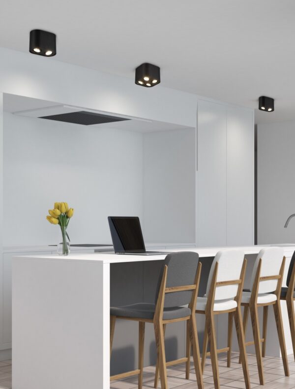 Φωτιστικό Οροφής Trio Lighting   GU10 Μαύρο Ματ Μεταλλικό    612900232