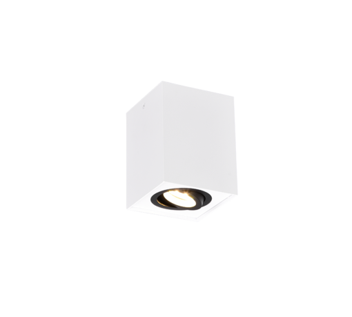 Φωτιστικό Σποτ Οροφής Trio Lighting 1xGU10 Λευκού Χρώματος – 613000134