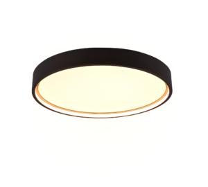 Φωτιστικό Οροφής Trio Lighting LED 29W 3000K Μαύρου Χρώματος – 641310232