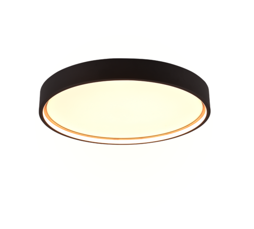 Φωτιστικό Οροφής Trio Lighting LED 29W 3000K Μαύρου Χρώματος – 641310232