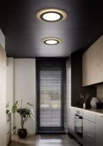 Φωτιστικό Οροφής Trio Lighting LED 42W 2700K Μαύρου Χρυσού Χρώματος – 641519280