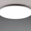 Φωτιστικό Οροφής Τιτάνιο Φ100 Trio Lighting LED 53W 6700lm CCT Dimmable Με Τηλεχειριστήριο  – 641719187