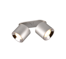 Φωτιστικό Οροφής Trio Lighting 2xGU10 Νικελ Χρώματος – 651000207