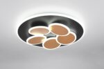 Φωτιστικό Οροφής Μαύρο-Χρυσό MANDALA LED 35W 4200lm CCT Dimmable με Τηλεχειριστήριο Trio Lighting – 653210680