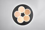 Φωτιστικό Οροφής Μαύρο-Χρυσό MANDALA LED 35W 4200lm CCT Dimmable με Τηλεχειριστήριο Trio Lighting – 653210680