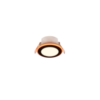Χωνευτό Φωτιστικό Trio Lighting LED 4W 3000K RGBW Μαύρου Χρώματος – 653610132