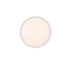 Φωτιστικό Οροφής Trio Lighting LED 18W  Λευκό Πλαστικό 1600lm 3000K IP44 659011801