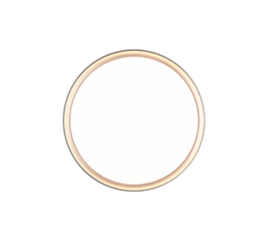 Φωτιστικό Οροφής Trio Lighting LED 18W  Τιτάνιο Πλαστικό 1600lm 3000K IP44 659011887