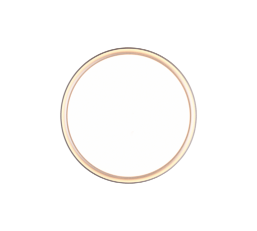 Φωτιστικό Οροφής Trio Lighting LED 18W  Τιτάνιο Πλαστικό 1600lm 3000K IP44 659011887