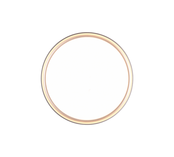 Φωτιστικό Οροφής Trio Lighting LED 18W  Τιτάνιο Πλαστικό 1600lm 3000K IP44 659011887