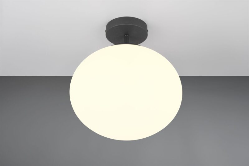 Φωτιστικό Οροφής Μαύρο Ματ & Οπάλ Γυαλί FOMENTO 1xE27 Φ33 Trio Lighting – 663100132