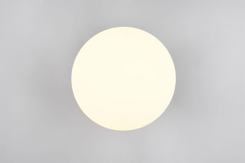 Φωτιστικό Οροφής Μαύρο Ματ & Οπάλ Γυαλί FOMENTO 1xE27 Φ33 Trio Lighting – 663100132