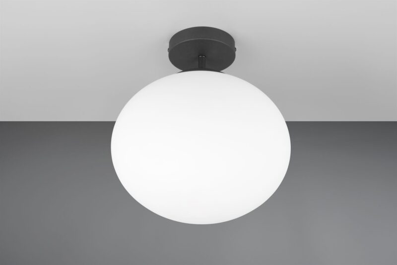 Φωτιστικό Οροφής Μαύρο Ματ & Οπάλ Γυαλί FOMENTO 1xE27 Φ33 Trio Lighting – 663100132
