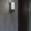 Lutec Pollux Επιτοίχιο Φωτιστικό Εξωτερικού Χώρου Με Camera Με Ανιχνευτή Κίνησης Με Ενδοεπικοινωνία Σκούρο Γκρι Χρώμα Connect LED Dimmable 1200lm 2700-6500K IP44 – 5196004118