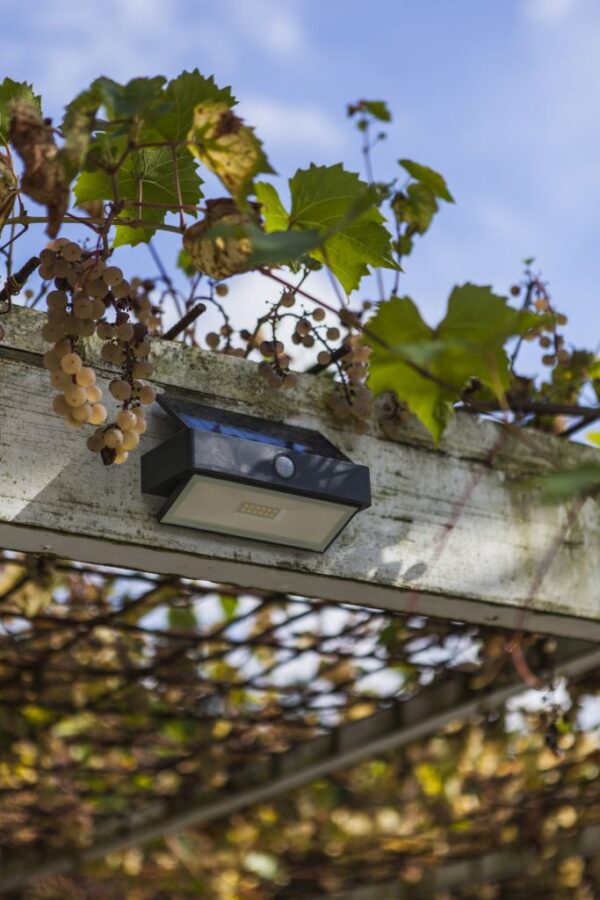 Lutec Arrow Επιτοίχιο Ηλιακό Με Ανιχνευτή Κίνησης Σκούρο Γκρι LED 180lm 5000K IP44 – 6910601335