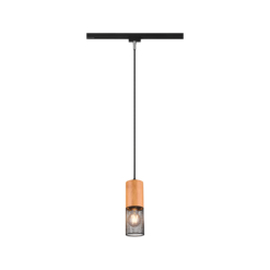 Κρεμαστό Φωτιστικό Trio Lighting DUOLINE  1x E27 Μαύρο Ματ Μεταλλικό   – 73430132