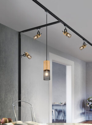 Κρεμαστό Φωτιστικό Trio Lighting DUOLINE  1x E27 Μαύρο Ματ Μεταλλικό   – 73430132