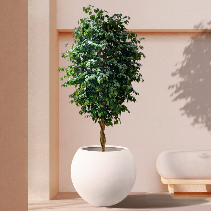 GloboStar® Artificial Garden MURANO 20766 Επιδαπέδιο Πολυεστερικό Τσιμεντένιο Κασπώ Γλάστρα – Flower Pot Λευκό Φ90 x Υ70cm