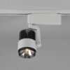 Φωτιστικό Spot Trio Lighting DUOLINE  LED, 15W · 1270lm, 2300+3000+4000K Τιτάνιο Μεταλλικό, Περιστρεφόμενο, Step dimmable – 78030187