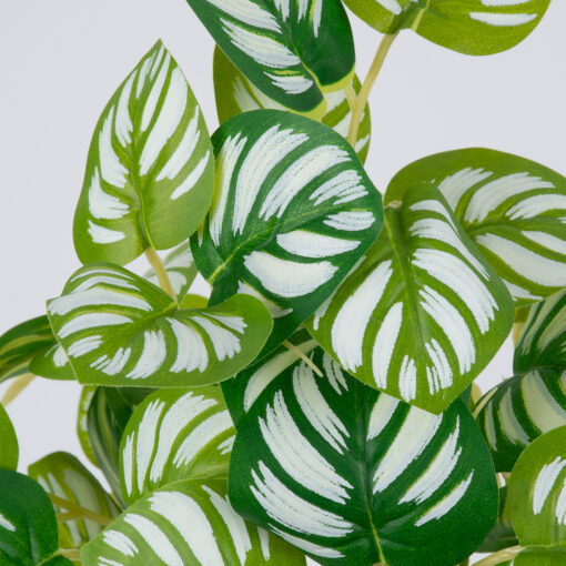 GloboStar® PEPEROMIA L.GREEN 78220 Τεχνητό Φυτό Πεπερόμια Αν.Πρ. – Μπουκέτο Διακοσμητικών Φυτών – Κλαδιών με Φύλλωμα Πράσινο – Κίτρινο – Λευκό Υ28cm