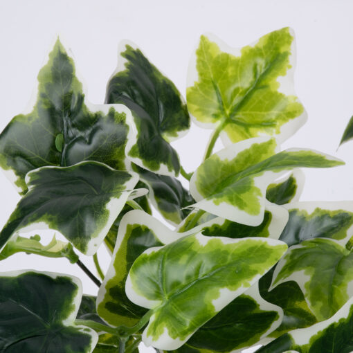 GloboStar® ALGERIAN IVY 78228 Τεχνητό Φυτό Αλγερινός Κισσός – Μπουκέτο Διακοσμητικών Φυτών – Κλαδιών με Φύλλωμα Πράσινο Υ30cm