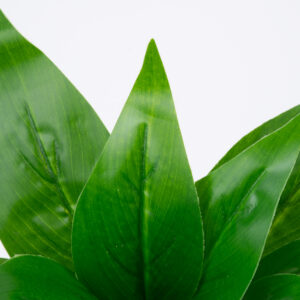 GloboStar® ARROW ROOT 78231 Τεχνητό Φυτό Αραρούτι – Μπουκέτο Διακοσμητικών Φυτών – Κλαδιών με Φύλλωμα Πράσινο Υ27cm