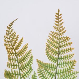 GloboStar® FERN 78269 Τεχνητό Φυτό Φτέρη – Μπουκέτο Διακοσμητικών Φυτών – Κλαδιών με Φύλλωμα Πράσινο – Καφέ Υ45cm