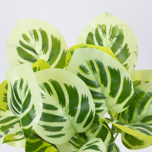 GloboStar® WHITE PEPEROMIA 78276 Τεχνητό Φυτό Πεπερόμια Λευκή – Μπουκέτο Διακοσμητικών Φυτών – Κλαδιών με Φύλλωμα Πράσινο – Λευκό Υ33cm