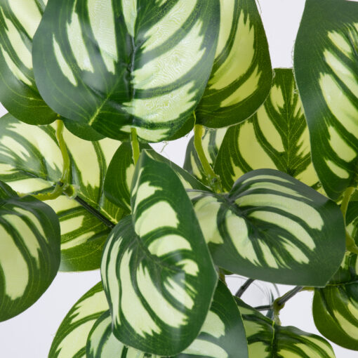 GloboStar® GREEN PEPEROMIA 78286 Τεχνητό Φυτό Πεπερόμια Πράσινη – Μπουκέτο Διακοσμητικών Φυτών – Κλαδιών με Φύλλωμα Πράσινο – Λευκό Υ33cm