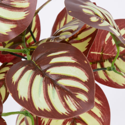 GloboStar® RED PEPEROMIA 78297 Τεχνητό Φυτό Πεπερόμια Κοκκ. – Μπουκέτο Διακοσμητικών Φυτών – Κλαδιών με Φύλλωμα Κόκκινο – Λευκό Υ30cm