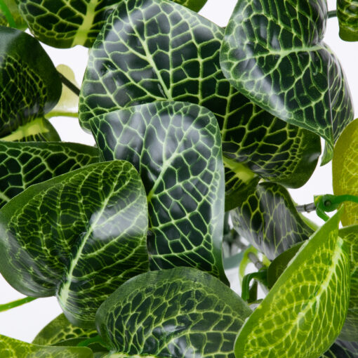 GloboStar® NERVE PLANT 78300 Τεχνητό Φυτό Φιτόνια – Μπουκέτο Διακοσμητικών Φυτών – Κλαδιών με Φύλλωμα Πράσινο Υ32cm