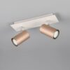 Πολύφωτο Οροφής/Τοίχου MARLEY Σποτ 2xGU10 Καφε & Γκρι Trio Lighting – 802400265