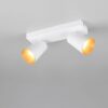 Πολύφωτο Σποτ Οροφής 2xGU10 Λευκό Trio Lighting – 817100231
