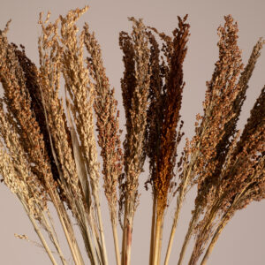 GloboStar® BROOMCORN 36555 Αποξηραμένο Φυτό Γλυκό Σόργο – Μπουκέτο Διακοσμητικών Κλαδιών Καφέ Υ100cm