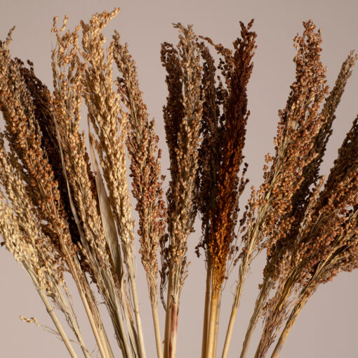 GloboStar® BROOMCORN 36555 Αποξηραμένο Φυτό Γλυκό Σόργο – Μπουκέτο Διακοσμητικών Κλαδιών Καφέ Υ100cm