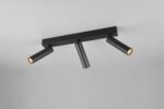 LED Spot Φωτιστικό Οροφής Μαύρο Ματ AMBALA 16.5W 1500lm CCT Step Dimmable Trio Lighting – 849210332