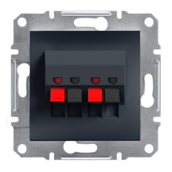 Schneider Asfora πρίζα ηχείων διπλή Ανθρακί – EPH5700171