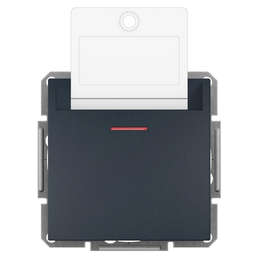 Schneider Asfora Διακόπτης δωματίου με κάρτα 10ΑΧ Ανθρακί – EPH6200171