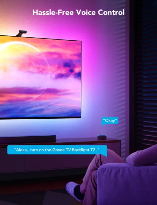 Govee Envisual TV Backlight T2 Smart Ταινία LED  H605C RGBIC για Τηλεόραση 55-65 inches – 1.SH.01.G010