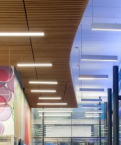 Επιτοίχιο/Κρεμαστό Γραμμικό Φωτιστικό LANKY ACA