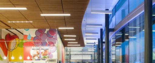 Επιτοίχιο/Κρεμαστό Γραμμικό Φωτιστικό LANKY ACA