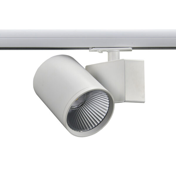 LED Φωτιστικό Ράγας 2 Καλωδίων Λευκό 40W 3000K  38° 4000LM 230V AC Ra80 ACA – LISOR4030W2