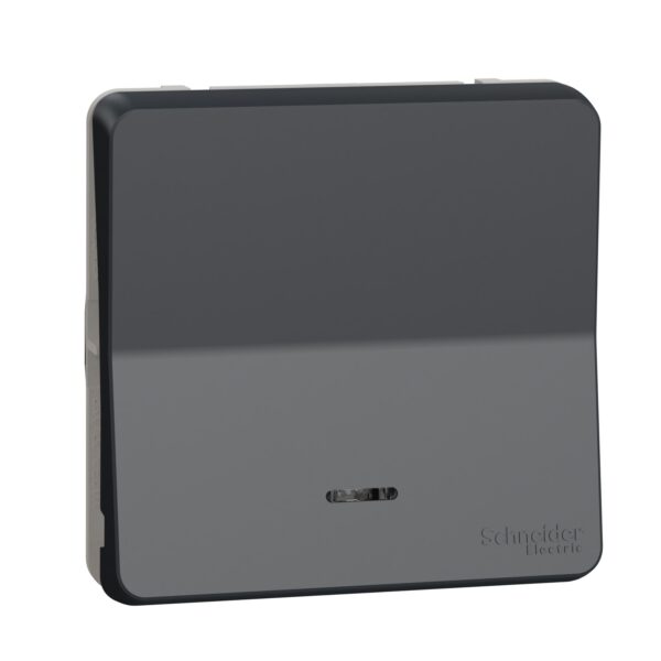 Schneider Mureva Styl μηχανισμός/πλακίδιο διακόπτη αλέ ρετούρ με LED Ανθρακί IP55 – MUR35025