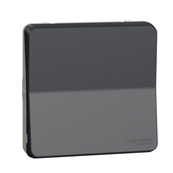 Schneider Mureva Styl μηχανισμός/πλακίδιο μπουτόν απλό Ανθρακί IP55 – MUR35027