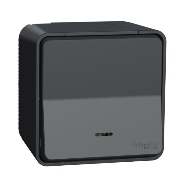 Schneider Mureva Styl μπουτόν LED προσανατολισμού επίτοιχο Ανθρακί IP55 – MUR35028