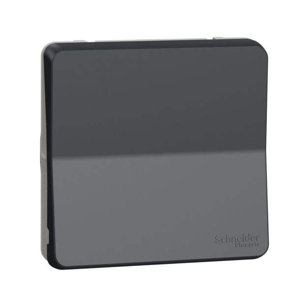 Schneider Mureva Styl μηχανισμός/πλακίδιο διπολικός διακόπτης Ανθρακί IP55 – MUR35034