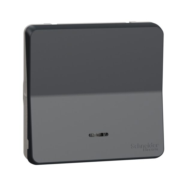 Schneider Mureva Styl μηχανισμός/πλακίδιο μπουτόν με LED προσανατολισμού Ανθρακί IP55 – MUR35127