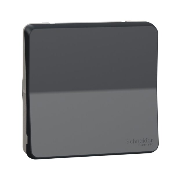 Schneider Mureva Styl μηχανισμός/πλακίδιο διακόπτης απλός/Αλέ ρετούρ Ανθρακί IP55 – MUR37021