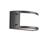 Φωτιστικό Τοίχου Reality LED 12W  Ανθρακί Πλαστικό 1200lm 3000K IP54 R22151142